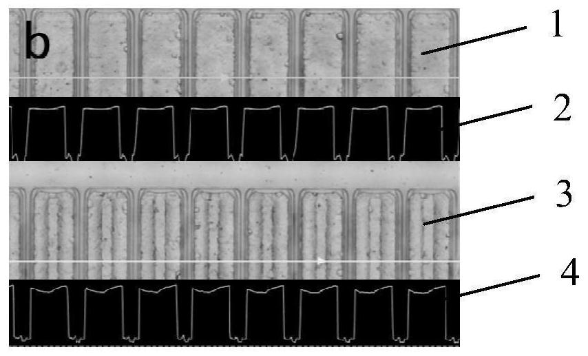 Cyanide-free gold electroplating solution and application thereof, method for electroplating gold bump, gold bump and electronic component