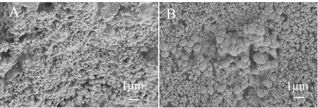 Preparation method of graphene oxide fluorescence-enhanced functional nucleic acid hydrogel