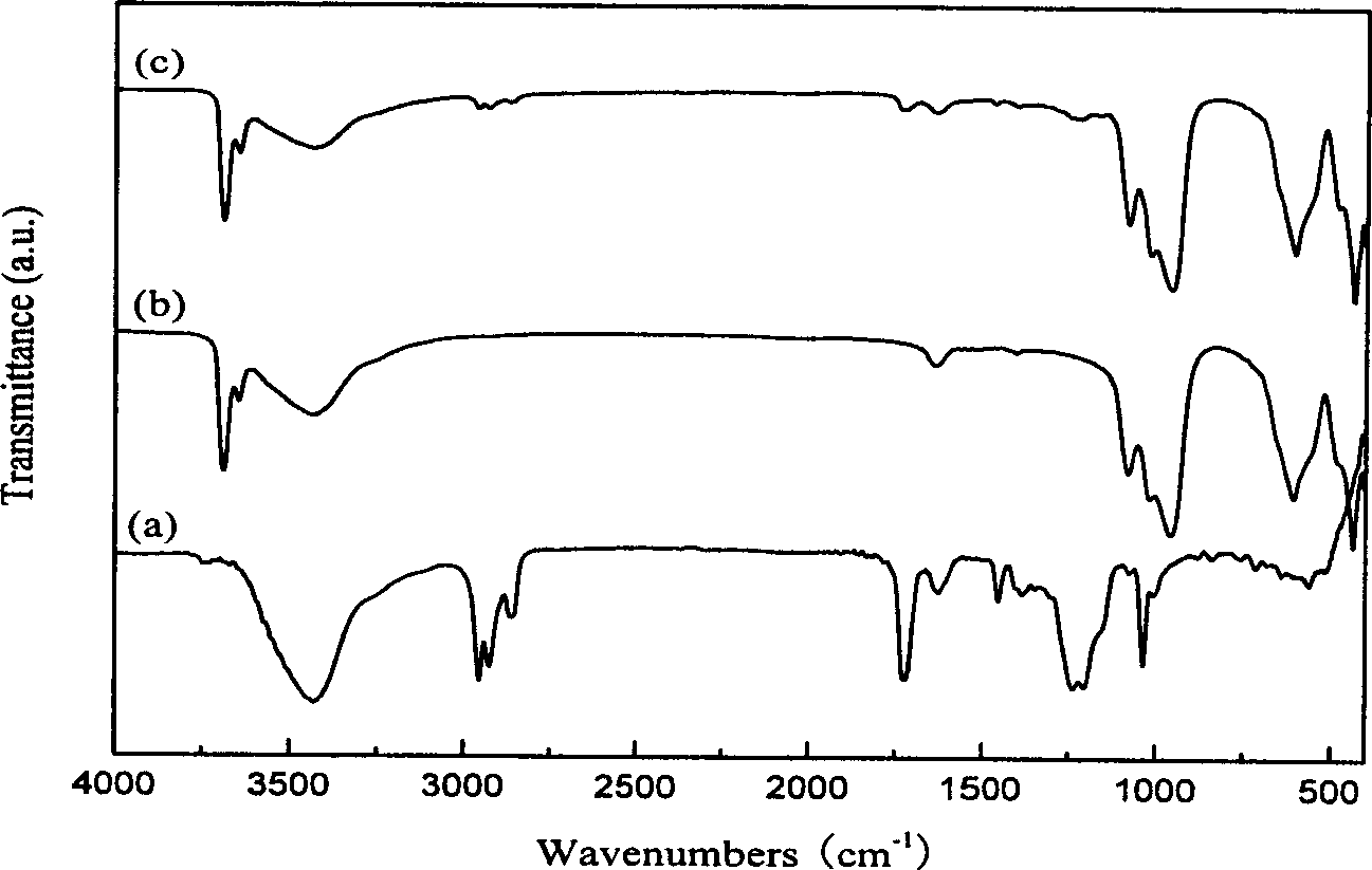 Method for preparing chrysotile nano fiber