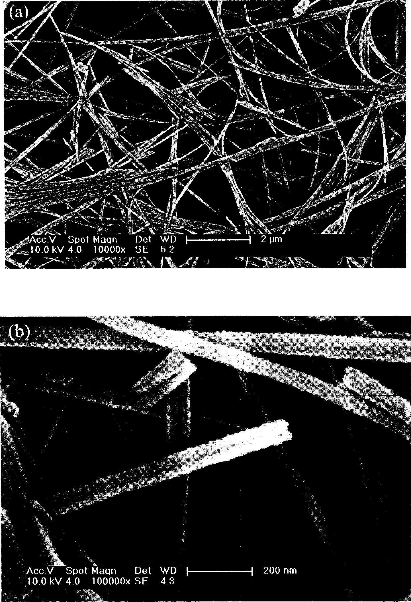 Method for preparing chrysotile nano fiber