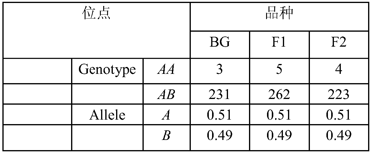 A Molecular Marker Method for Selecting Growth Traits of Goats Using Nucleolin Gene