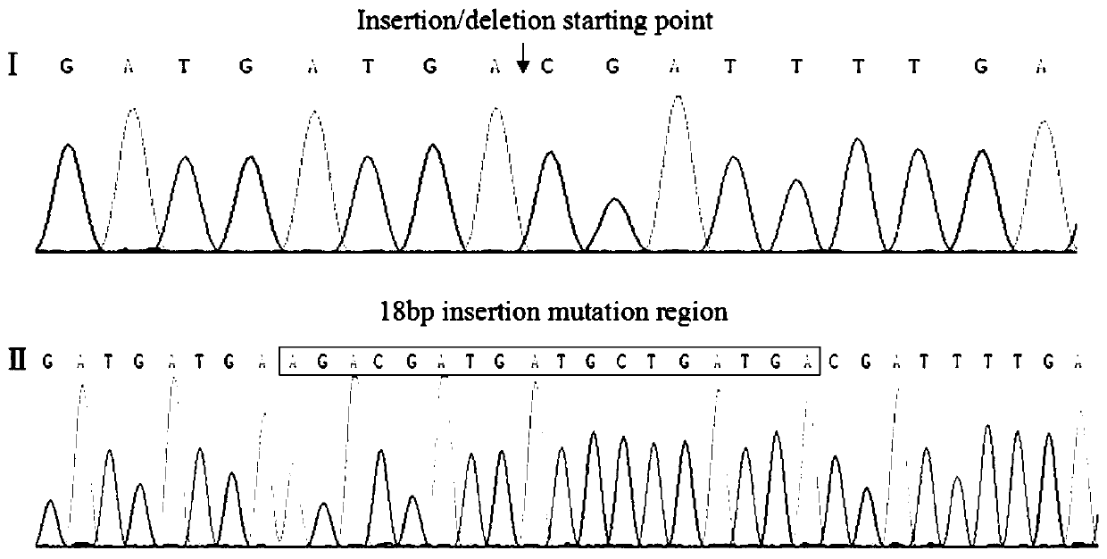 A Molecular Marker Method for Selecting Growth Traits of Goats Using Nucleolin Gene