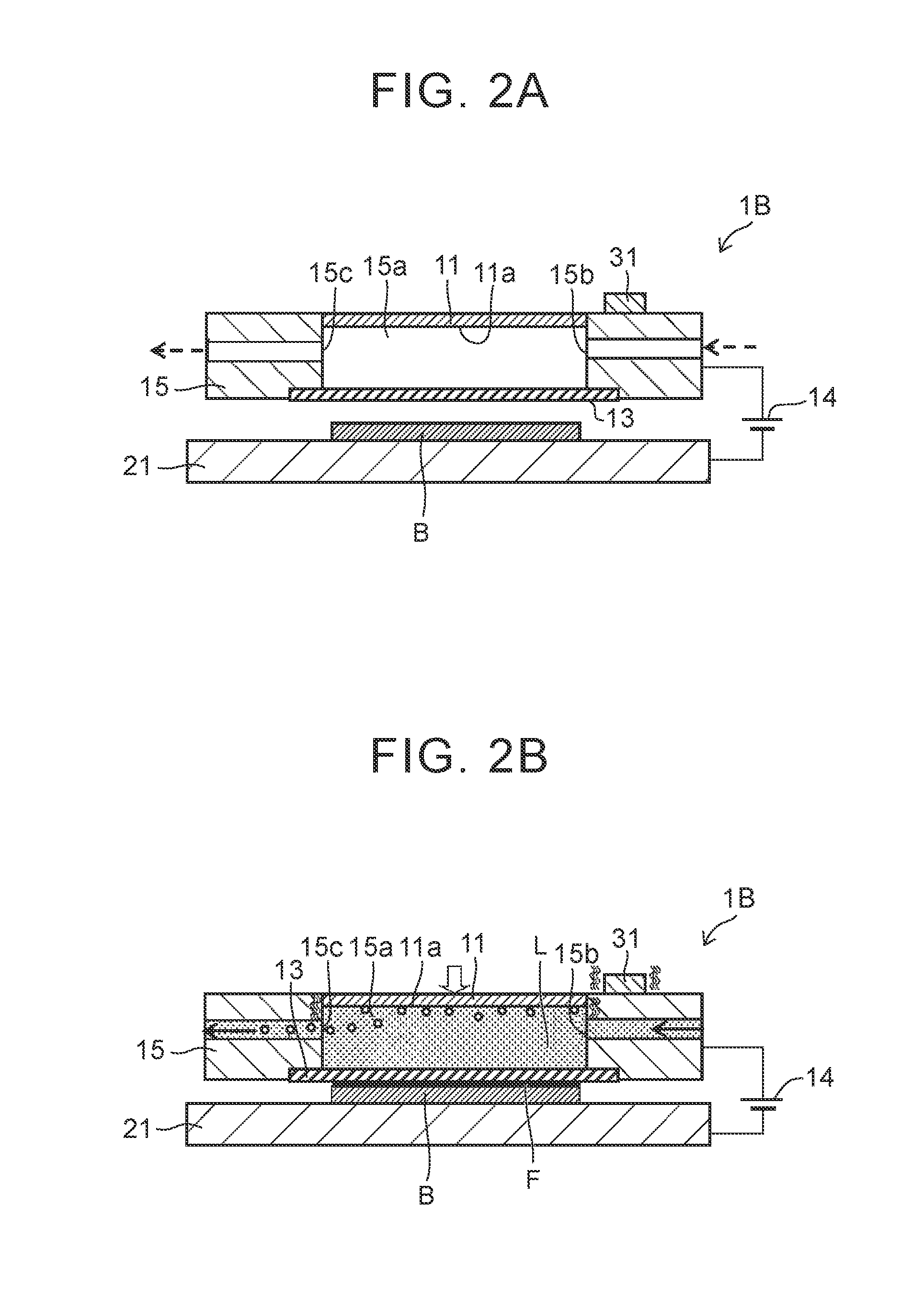 Film forming apparatus and film forming method