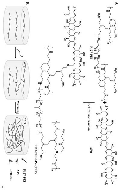 A self-healing injectable hydrogel dressing for diabetic wound repair and its preparation method and application