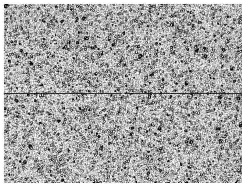 Boehmite/inert lithium powder composite slurry, lithium supplementing negative plate, preparation method thereof and lithium ion battery