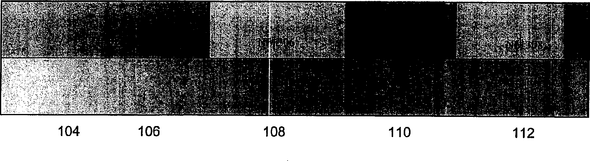 Method for mfg. double layer polysilicon rewritable non-volatile memory