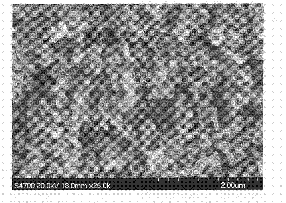 Porous carbon material and preparation method thereof