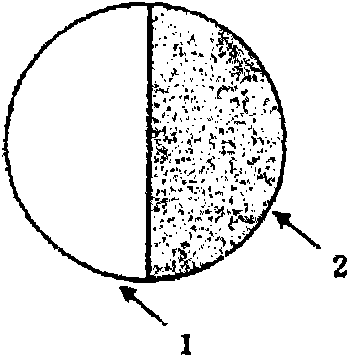 Splittable conjugate fiber