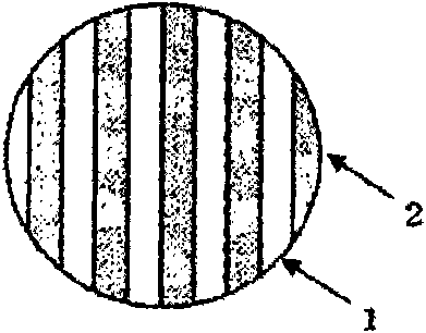 Splittable conjugate fiber