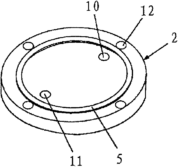 Lightweight aggregate pretreatment method and its device