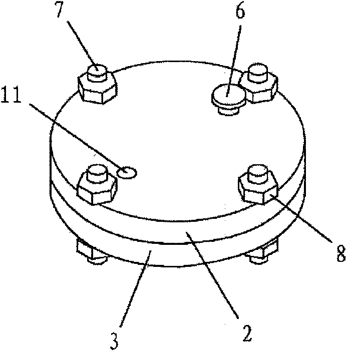 Lightweight aggregate pretreatment method and its device