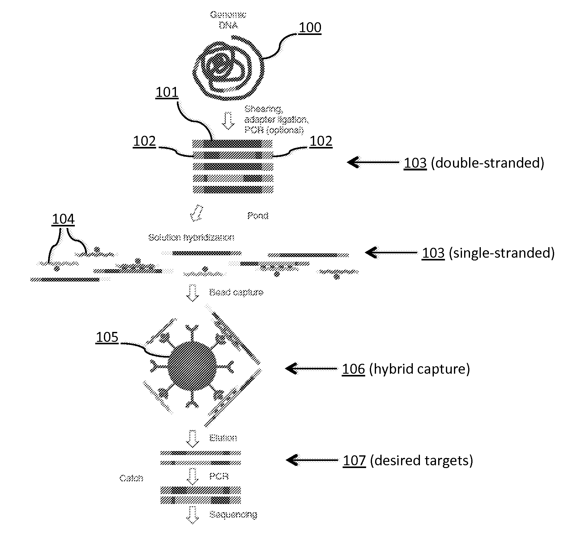 Tm-enhanced blocking oligonucleotides and baits for improved target enrichment and reduced off-target selection