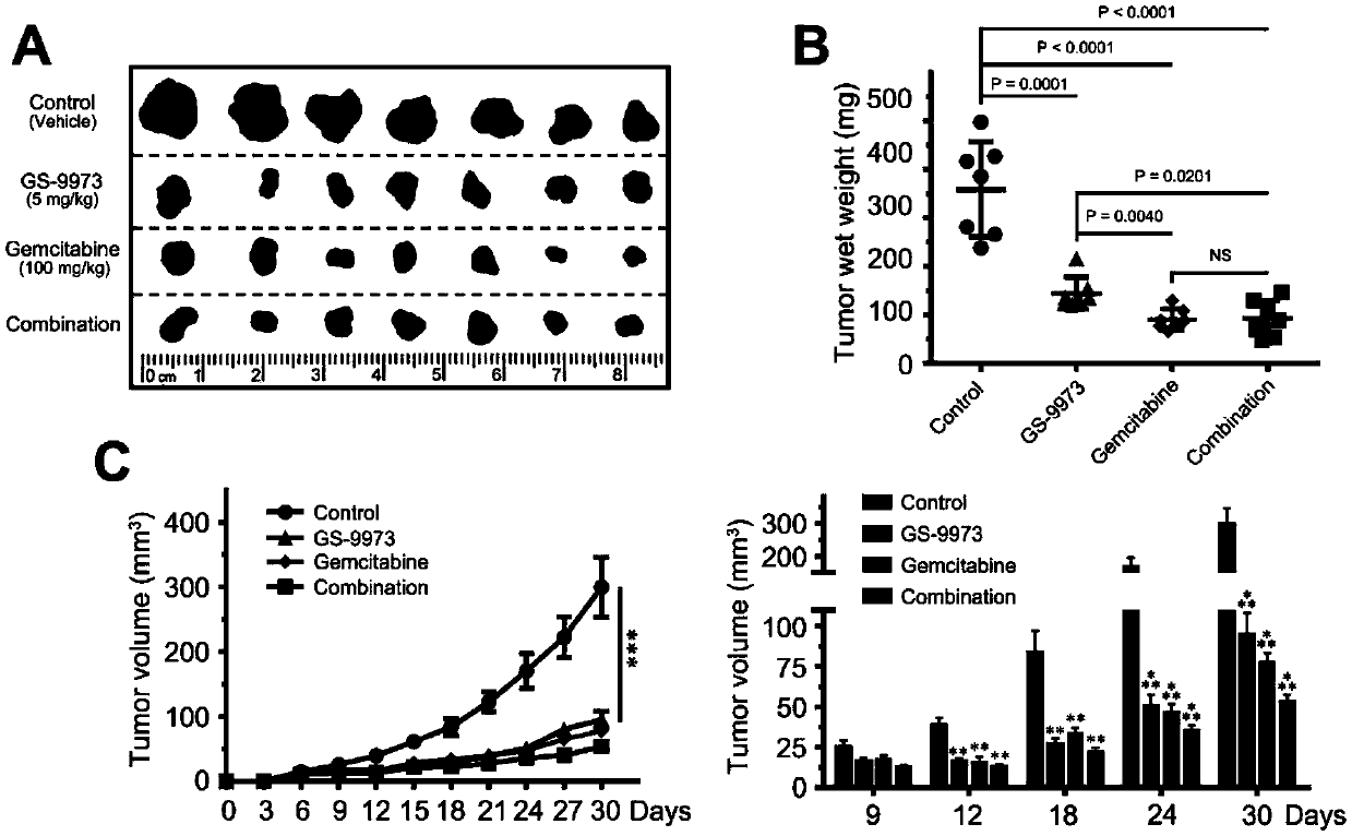 Application of splenic tyrosine kinase as therapeutic target for intrahepatic cholangiocarcinoma