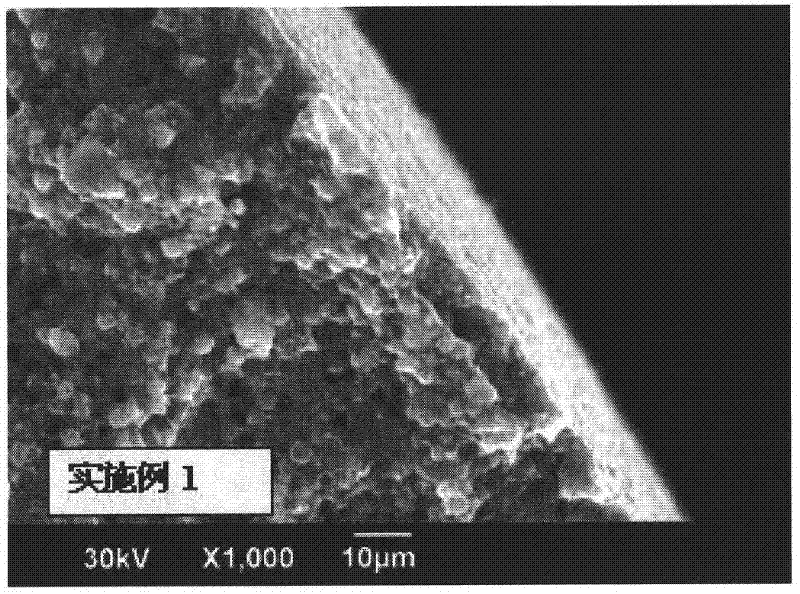 High-strength zeolite bead molding and method for producing the same