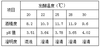 Compound mulberry fruit health-caring fruit wine and preparation method and application thereof