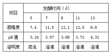 Compound mulberry fruit health-caring fruit wine and preparation method and application thereof