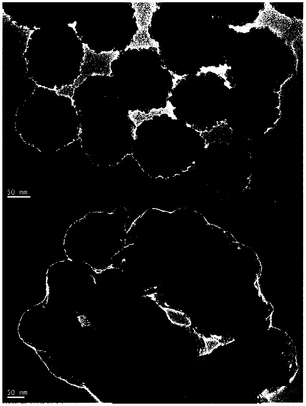 Polydopa/polyethyleneimine copolymer modified magnetic particles and preparation method and application thereof