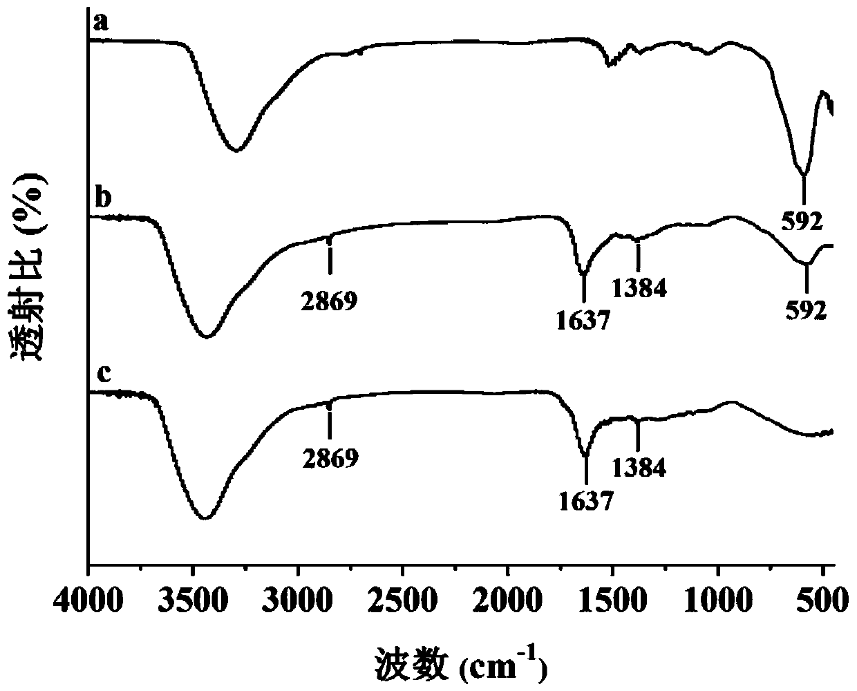 Polydopa/polyethyleneimine copolymer modified magnetic particles and preparation method and application thereof