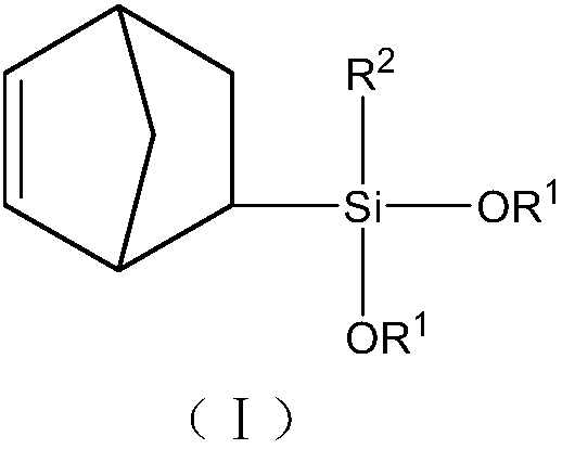 Norbornene base organic group dialkoxy silane compound, preparation method and application thereof