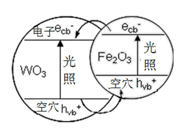 Iron-doped tungsten trioxide photocatalyst and preparation method thereof