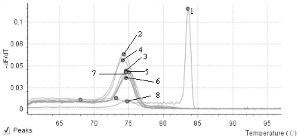 Fox retrovirus SYBR Green I fluorescent RT-PCR kit and use method thereof