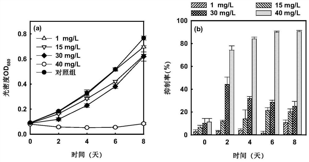 Application of fumaric acid in inhibiting growth of blue-green algae