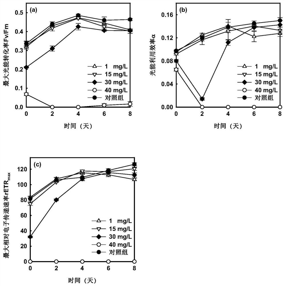 Application of fumaric acid in inhibiting growth of blue-green algae