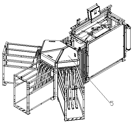 Group-raising management system for fattening pigs