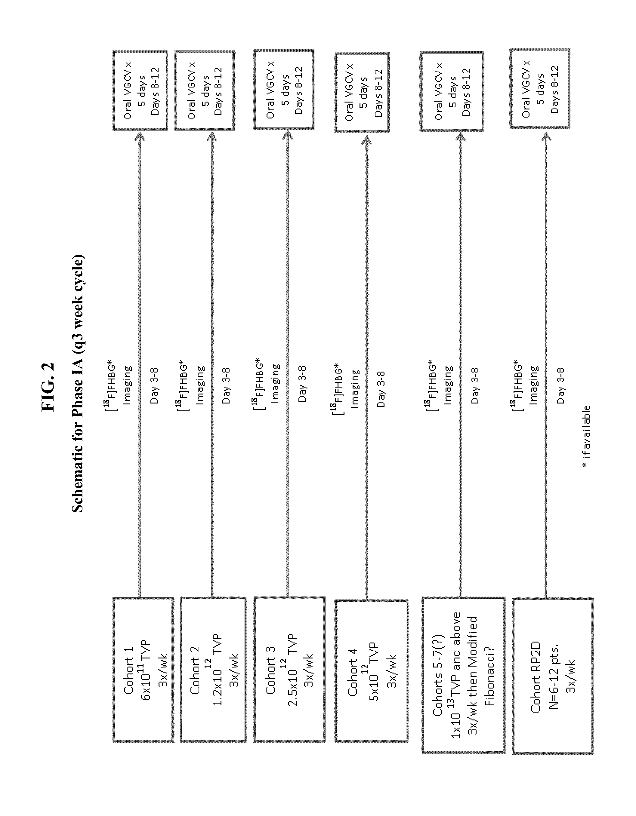 Thymidine kinase gene