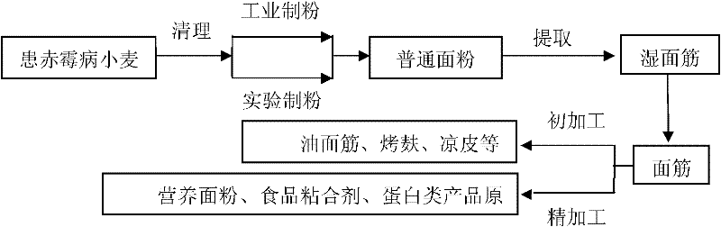 Processing method for efficiently removing deoxynivalenol (DON) from wheat grains