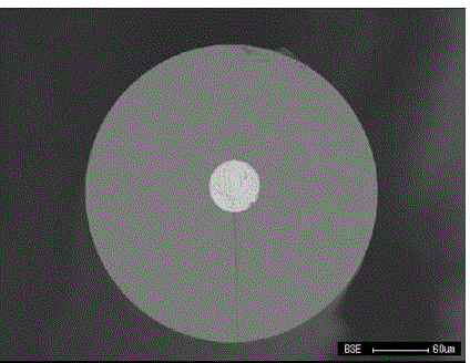 Selentellurium single crystal compound optical fiber and manufacturing method thereof