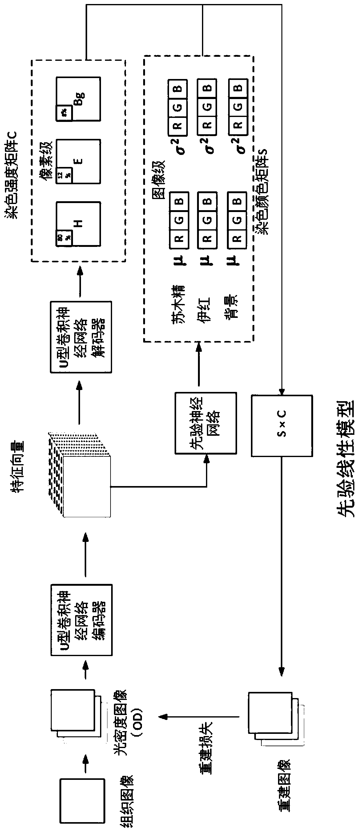 Pathological image multi-staining separation method based on deep learning