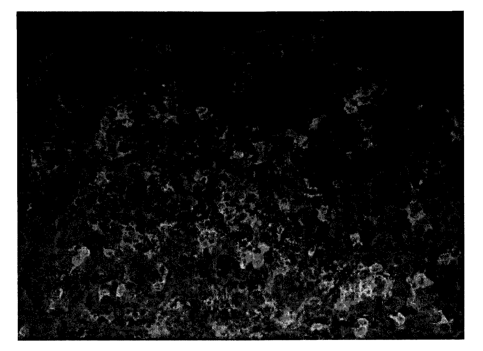 Polynucleotides and Uses Thereof