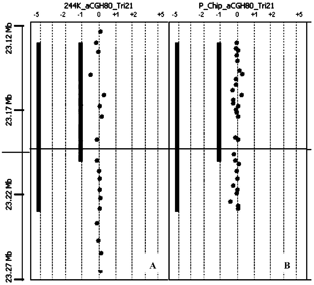 Fetal DNA (deoxyribonucleic acid) chip and application thereof