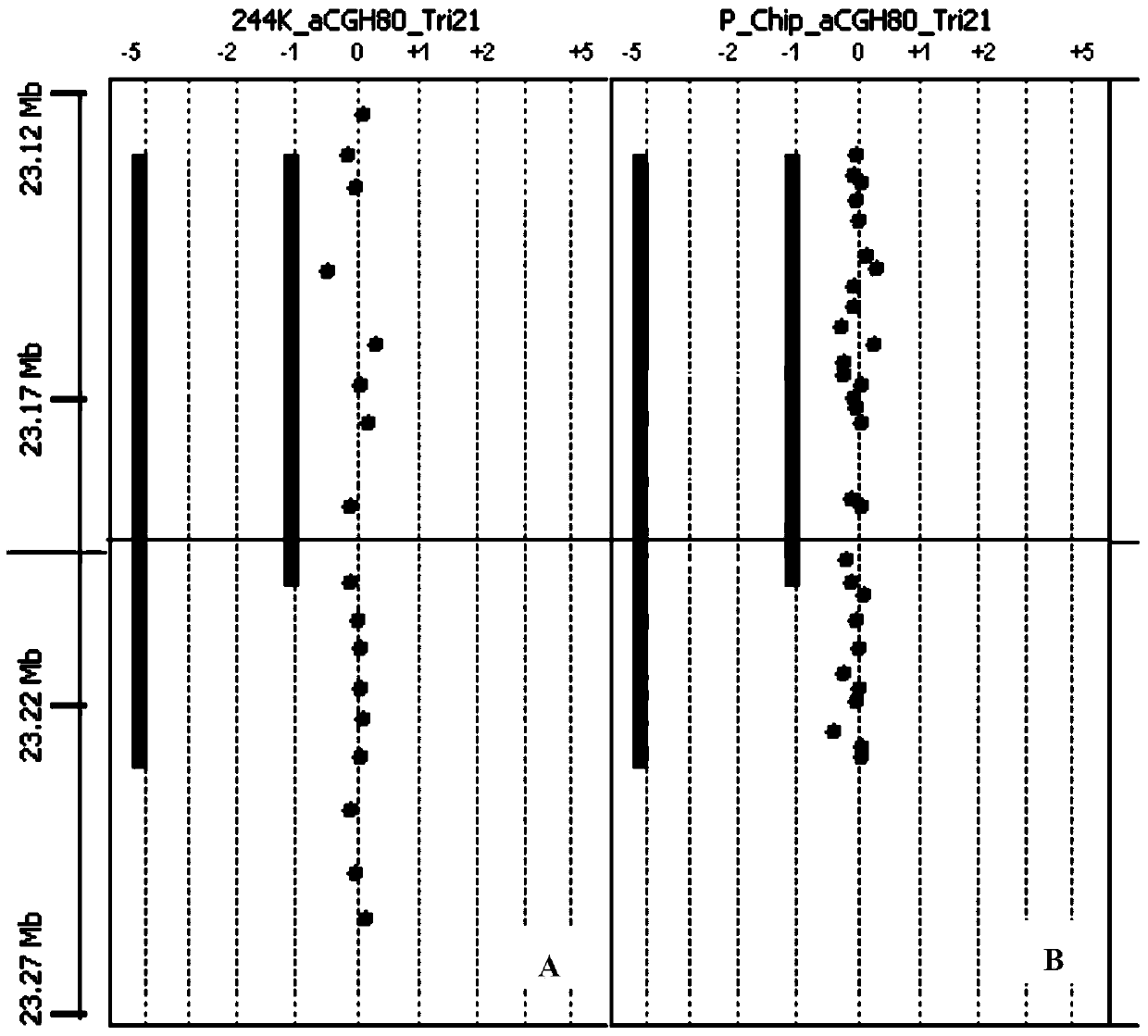 Fetal DNA (deoxyribonucleic acid) chip and application thereof