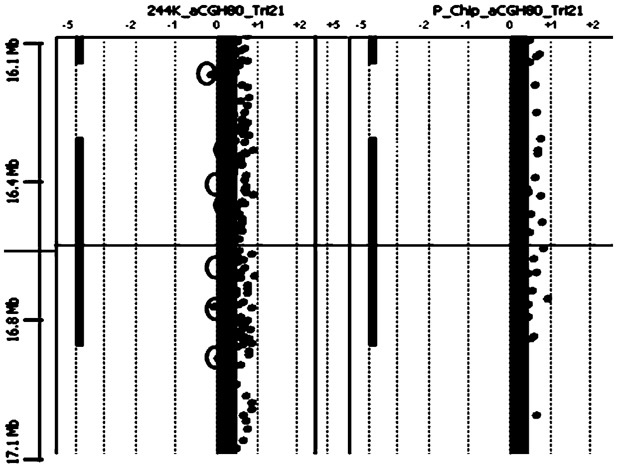 Fetal DNA (deoxyribonucleic acid) chip and application thereof