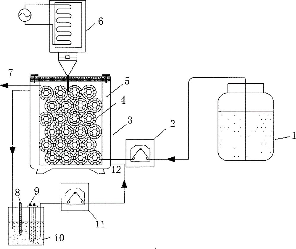 Method for intensifying starting performance of anaerobic ammonia oxidation process by using ultrasonic wave