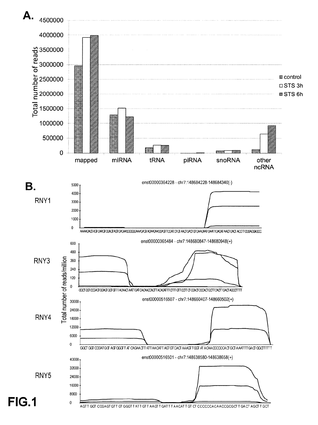 RNY-derived small RNAs as biomarkers for atherosclerosis-related disorders