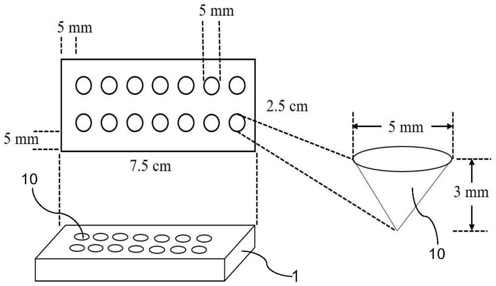 Module for Raman detection and preparation method thereof