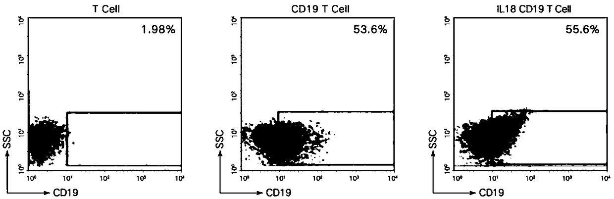 Construction of CAR-T cell for co-expressing IL18 through non-viral carrier and application of CAR-T cell