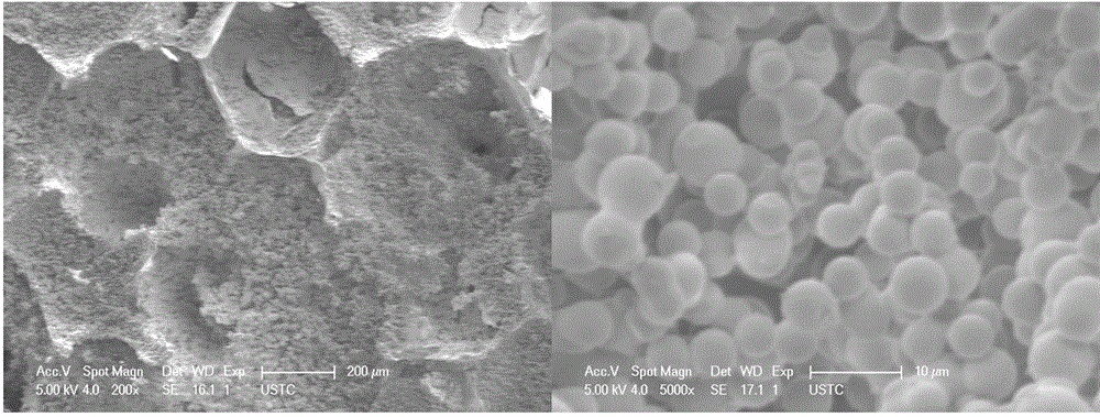 Preparation method of hydrophobic lipophilic sponge aerogel composite material