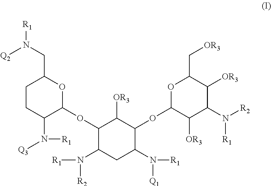 Antibacterial aminoglycoside analogs