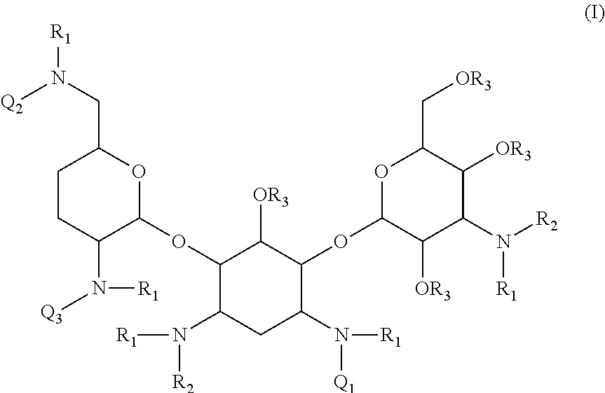 Antibacterial aminoglycoside analogs