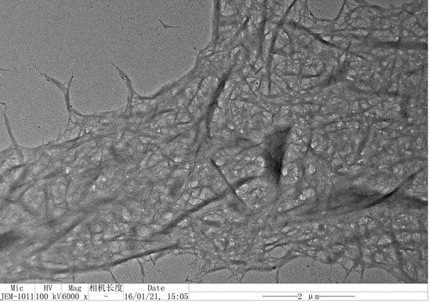 Cellulose/tannin micro-nano fibers and preparation method thereof