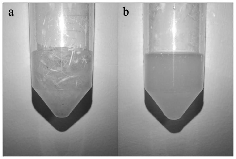 A kind of keratinase mutant with improved low-temperature enzymolysis performance and its application