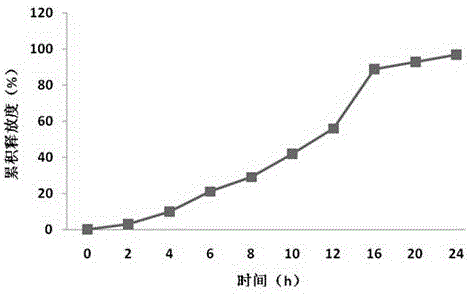 A kind of posaconazole double-layer osmotic pump controlled-release tablet and preparation method thereof