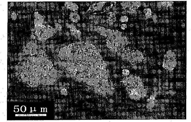 A silver-ZnO electric contact and its making method