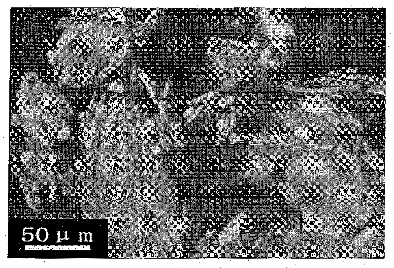 A silver-ZnO electric contact and its making method