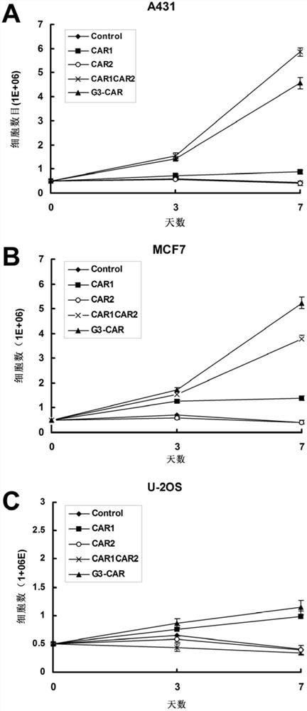 Dual-signal-independent chimeric antigen receptors and uses thereof