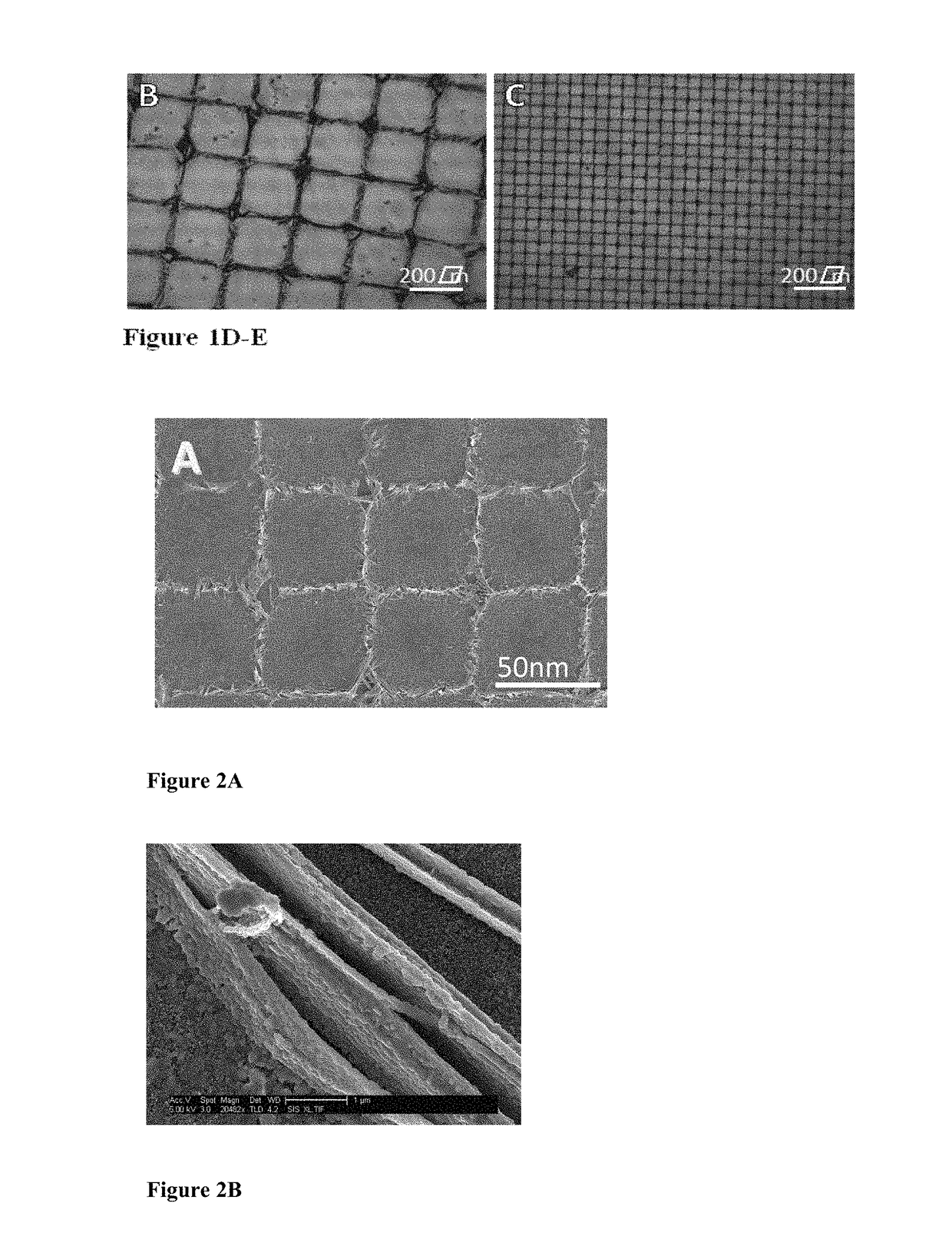 Self-assembly of perovskite for fabrication of transparent devices